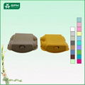 Paper pulp 6 holes egg carton from China 5