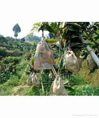 mango paper bag protection bag fruit growing paper bag