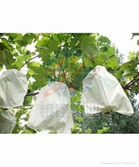 grape protection paper bag /fruit growing paper bag