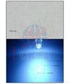 security paper with visible and invisible fibers