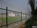 PVC coated Welded mesh fence 2