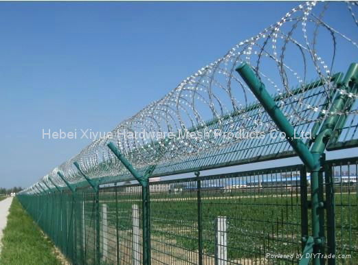 Razor Wire Mesh 2