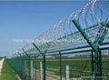 Razor Wire Mesh 2