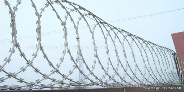 Razor Wire Mesh 3