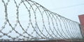 Razor Wire Mesh 3