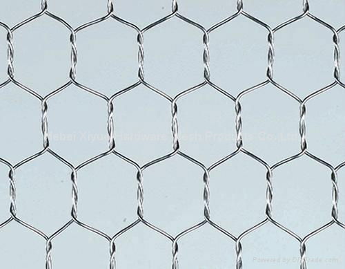 Hexagonal wire mesh