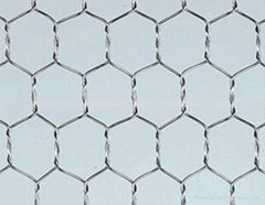 Hexagonal wire mesh