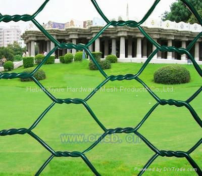 Hexagonal wire mesh 2