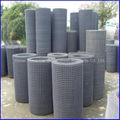 differet types of cripmed wire mesh 4