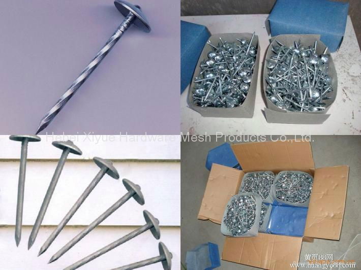 Umbrella Head Roofing Nails  2