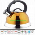 Stainless steel whistle kettle WK528