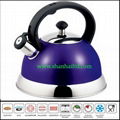 Best stainless steel whistling kettle