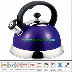 Best stainless steel whistling kettle WK534