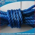 3 Strands Twisted PP PE Rope/Twisted Cord 5