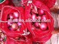Fresh red onion/yellow onion/fresh onion in mesh bag 5