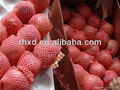 Gala Apple 100-125 pcs in 20kg ctn apple 2