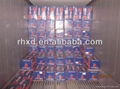 Gala Apple 100-125 pcs in 20kg ctn apple 3