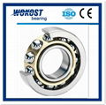 Deep Groove Ball Bearing  5