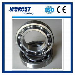 Deep Groove Ball Bearing 