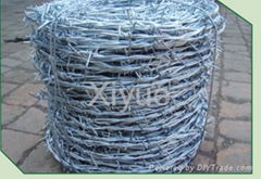 Barbed wire