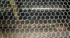 Hexagonal wire mesh