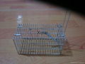 Trap mouse cage 1