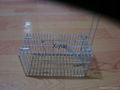 Trap mouse cage 3