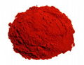 Paprika powder 2