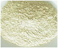 Onion Powder