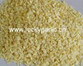 Garlic Granule 1