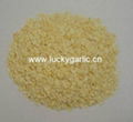 Garlic Granule 3