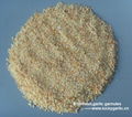 Garlic Granule 4