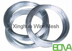 Hot Dipped Galvanized Wires Ropes