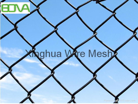 Chain Link Fence  and Diamond Wire Mesh 