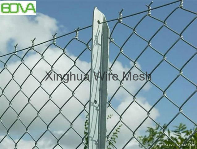 Chain Link Fence  and Diamond Wire Mesh  2