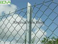 Chain Link Fence  and Diamond Wire Mesh  2