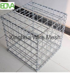  Gabion Mesh Chicken mesh 