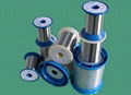 Stainless Steel Wire