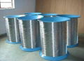 Stainless Steel Wire 2