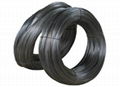 Black Annealed Wire  1