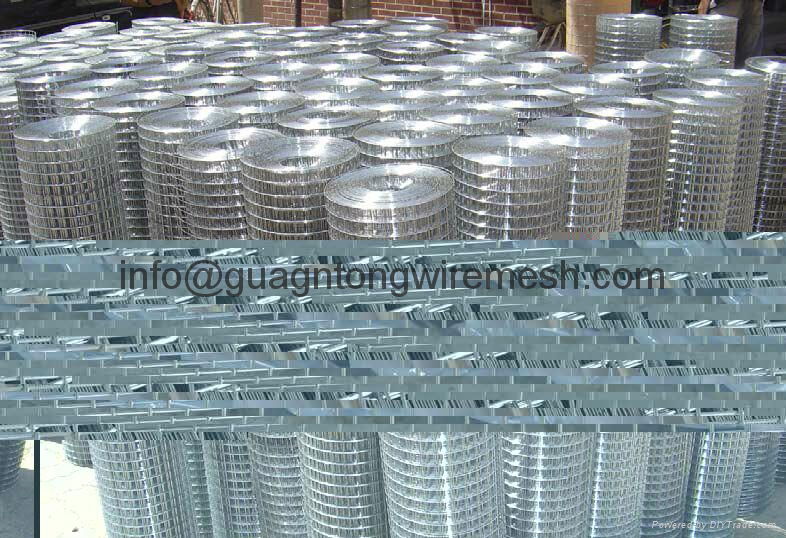 Welded wire mesh(roll & panel)