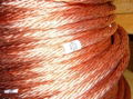 Copper Wire Scrap 99.9% 1