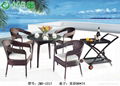 The cane makes up furniture leisure Direct selling woven rattan furniture 1