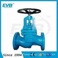 PN10/PN16 Cast iron Globe Valve