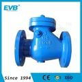 Cast Iron Check Valve, 10K 1