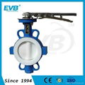 PTFE Lined Wafer Butterfly Valve ANSI 1