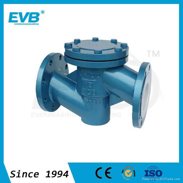 diaphragm check valve 2