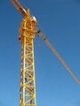 tip load 0.8t 4t flying jib tower crane hot sale 5