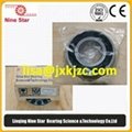 SKF INSOCOAT bearing 6320/C3VL0241 2