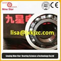 Metal shield insulated bearing 6310-2Z /C3VL0241 